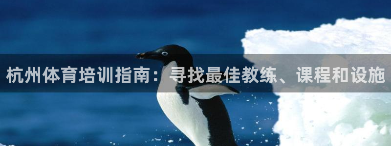 耀世盛典下载：杭州体育培训指南：寻找最佳教练、课程和设施